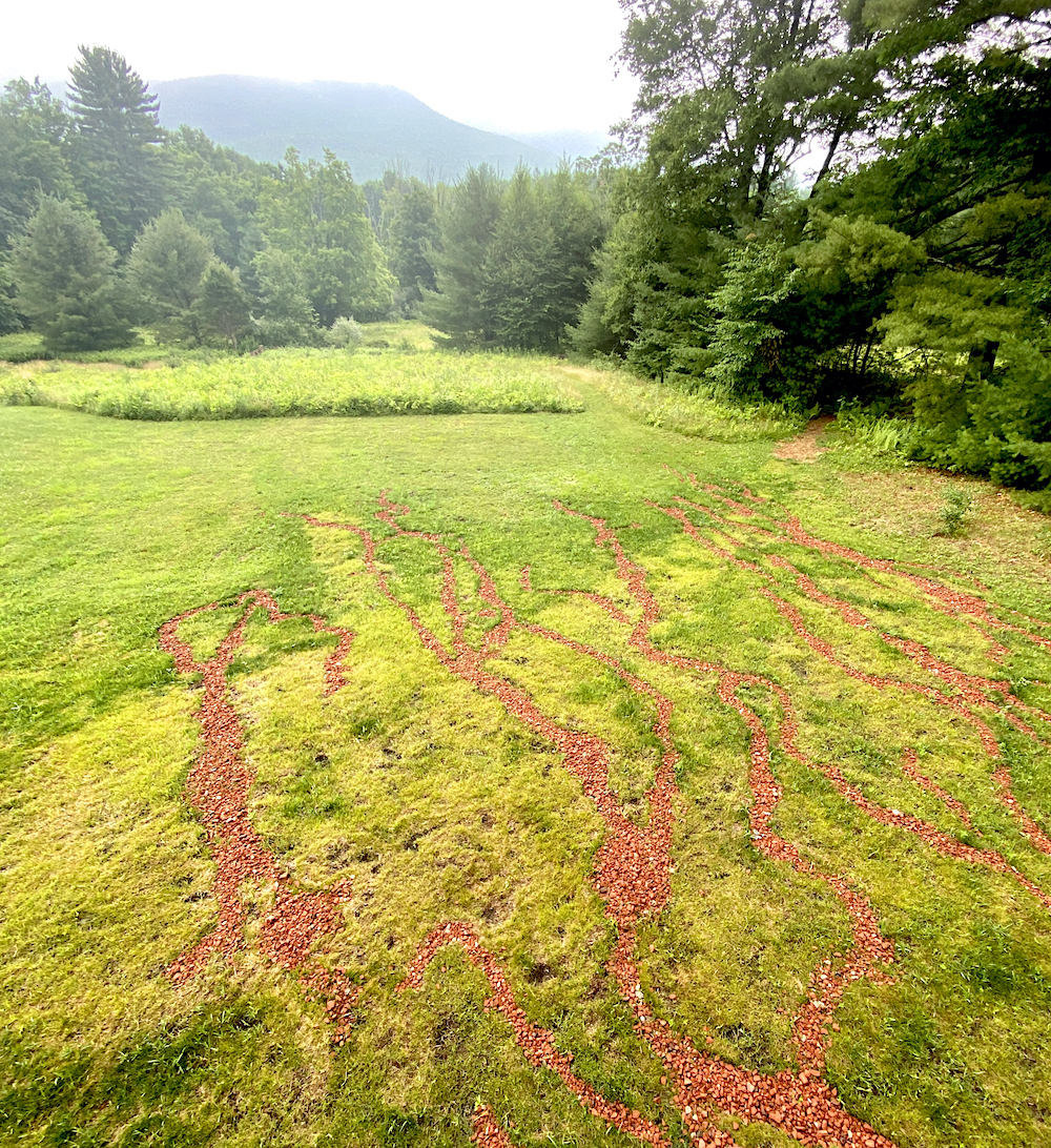 installation artwork by La Cicatriz | The Swimming Hole Foundation