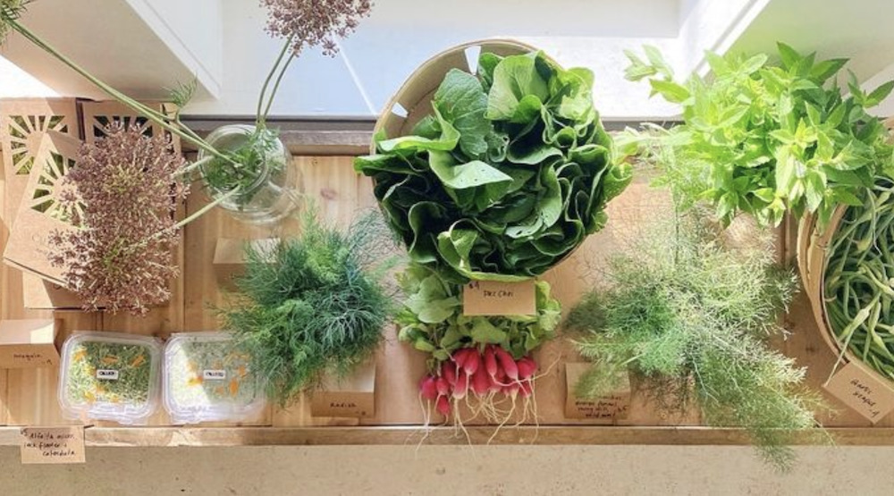 veggies for sale on counter