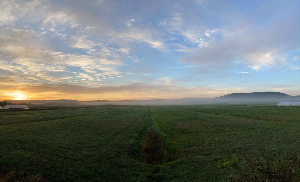 Farm land at Rise and Root Farm in Chester, NY