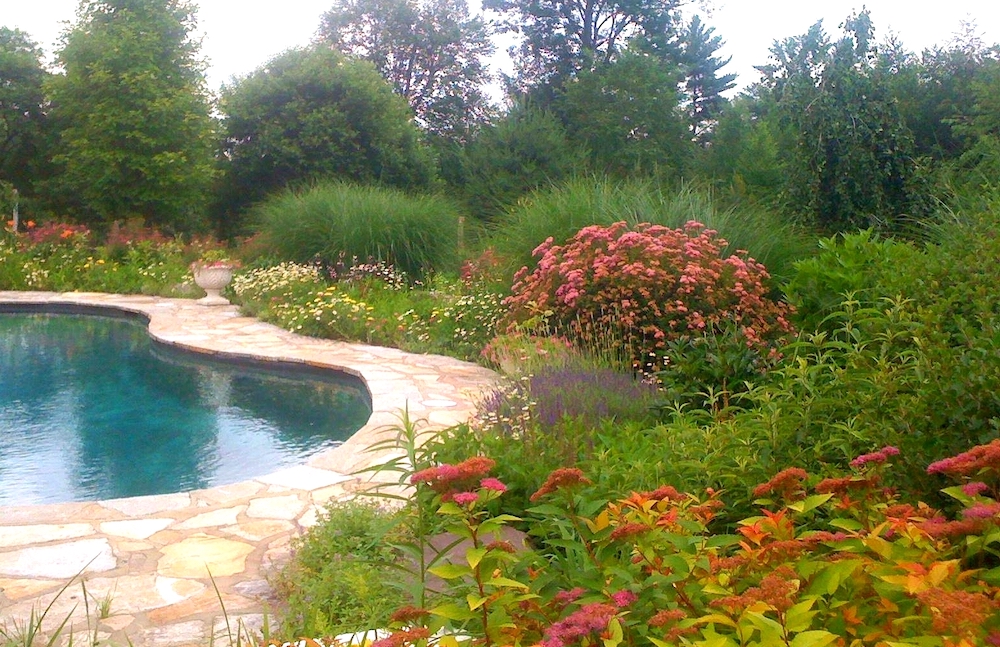 Carol Washington Landscape Designer in Saugerties NY