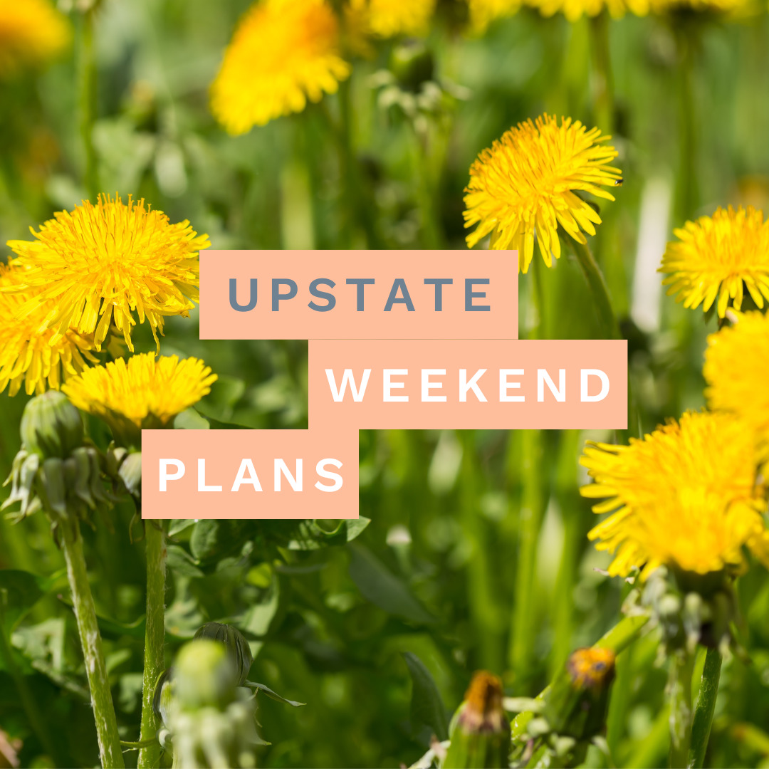 Dandelions with the "Upstate Weekend Plans" text written across the photo for the Hudson Valley, NY.