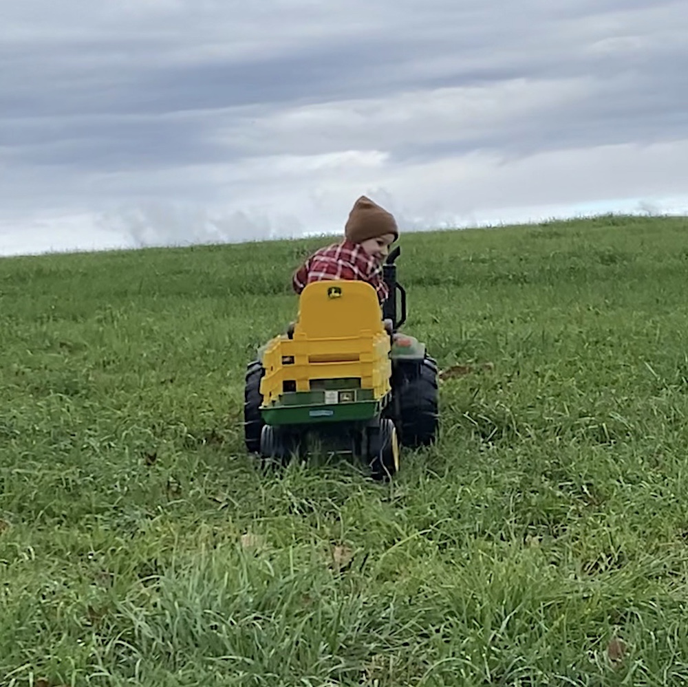 Farm Kids at Wagyu Hilltop Farm in Accord NY