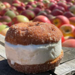 Apple Cider Donuts Roundup 2023 Places to go