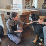 Ten things to learn about Dr. Jefferson of Ethical Veterinarian