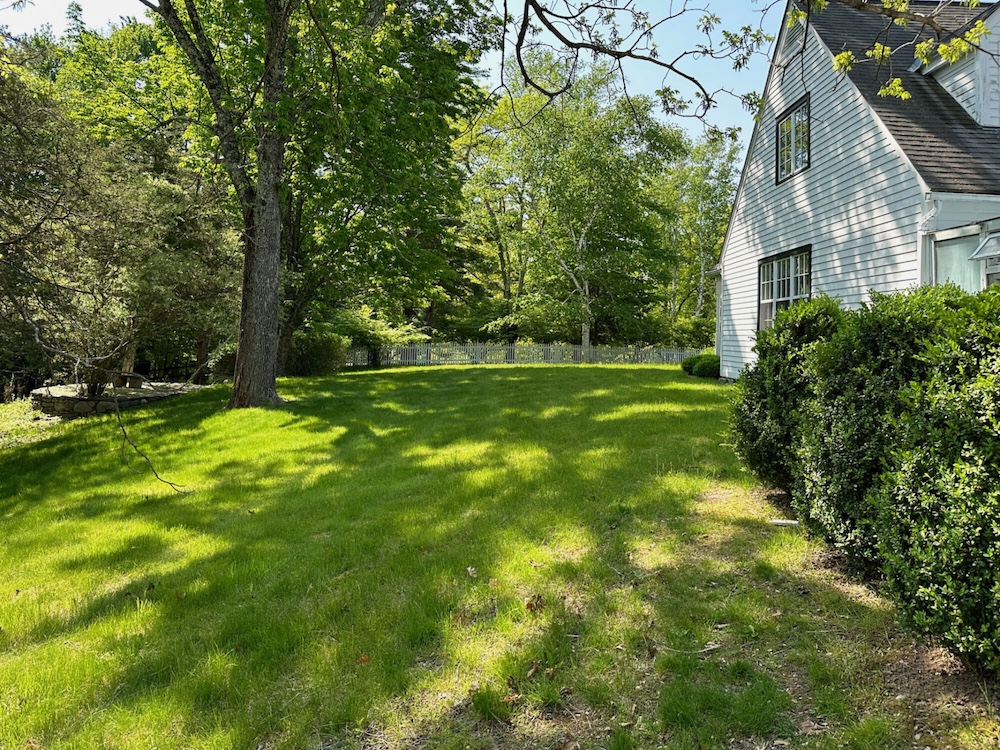 backyard lawn and trees at Filled with Gorgeous Light and Sumptuous Interiors in Woodstock, Ulster County NY | Hudson Valley