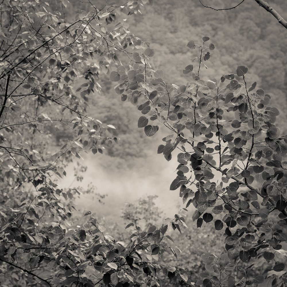 Portals photography series by Kelly Sinclair Woodstock NY