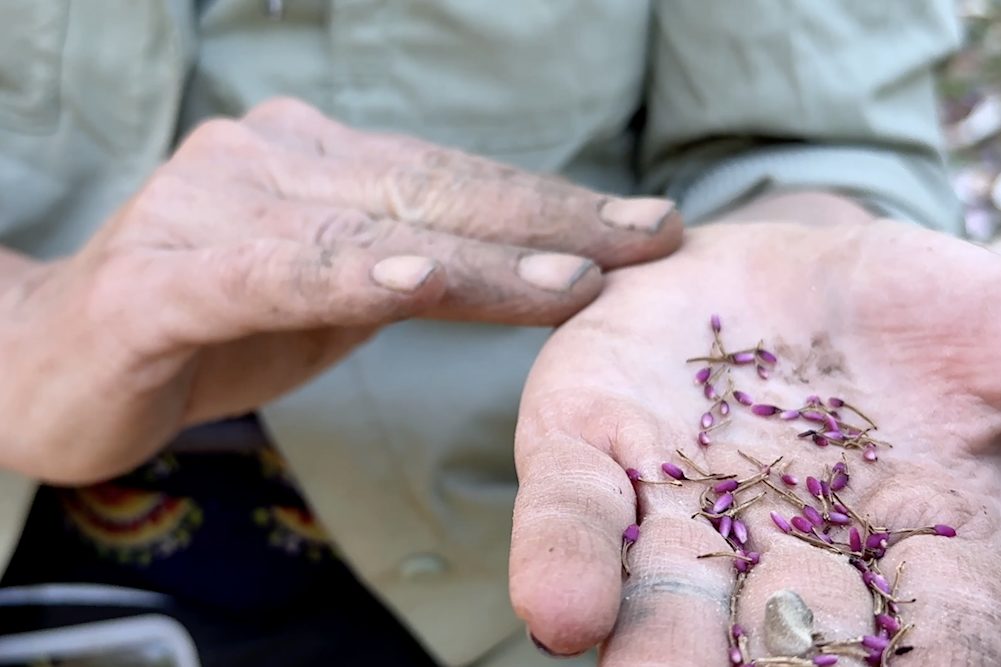 INSIDE+OUT Exclusive Interview with Hudson Valley Horticulturist and Artist Allyson Levy