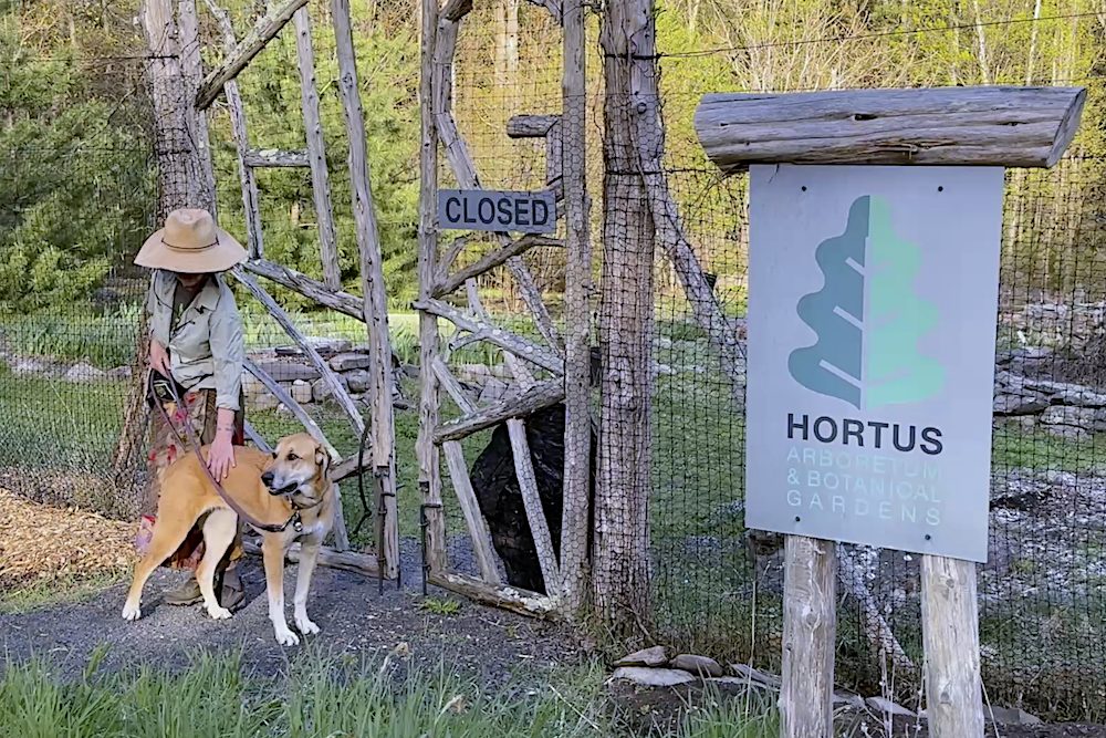 INSIDE+OUT Exclusive Interview with Hudson Valley Horticulturist and Artist Allyson Levy