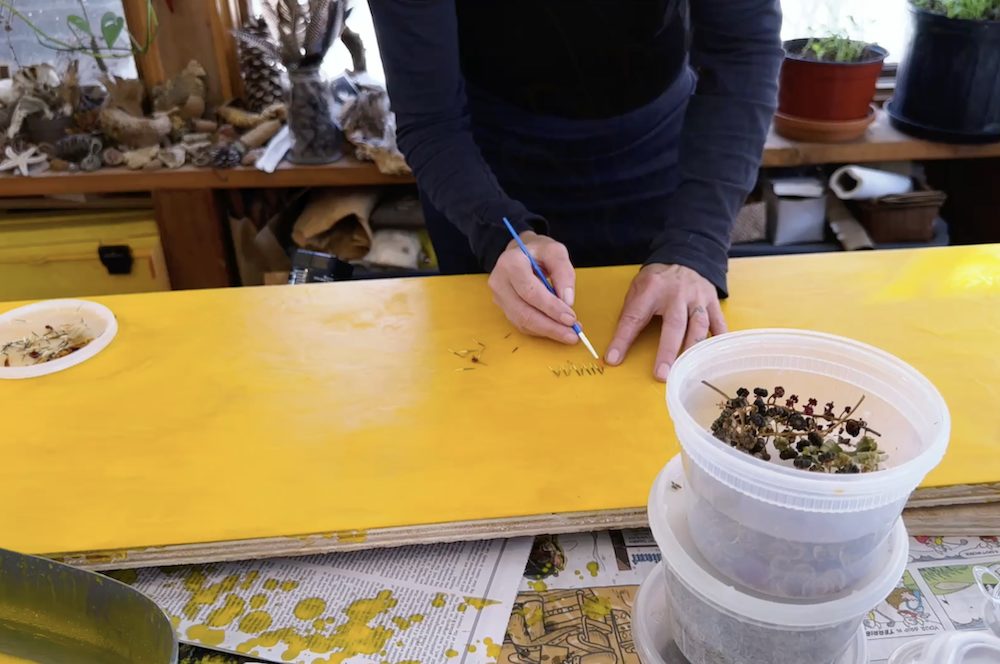 INSIDE+OUT Exclusive Interview with Hudson Valley Horticulturist and Artist Allyson Levy