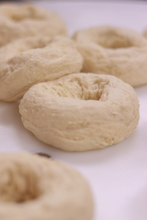 Raw bagels made by Beth George of Bagelish in Beacon, NY.