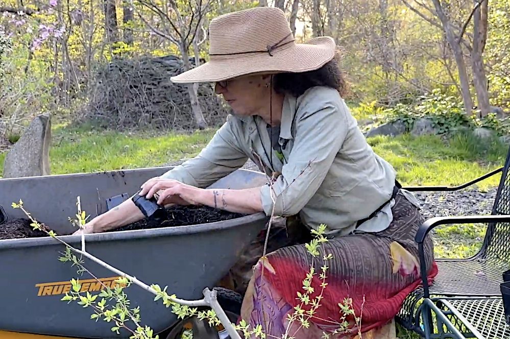 INSIDE+OUT Exclusive Interview with Hudson Valley Horticulturist and Artist Allyson Levy