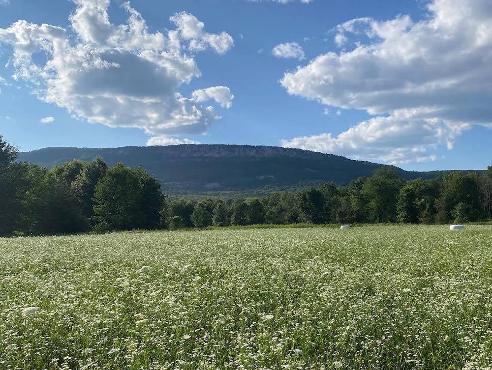 View of the Shawangunks from Crescent Farm in the Hudson Valley.