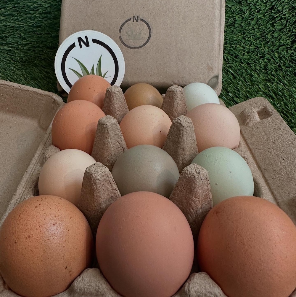 eggs at Northaven Pastures in Red Hook NY