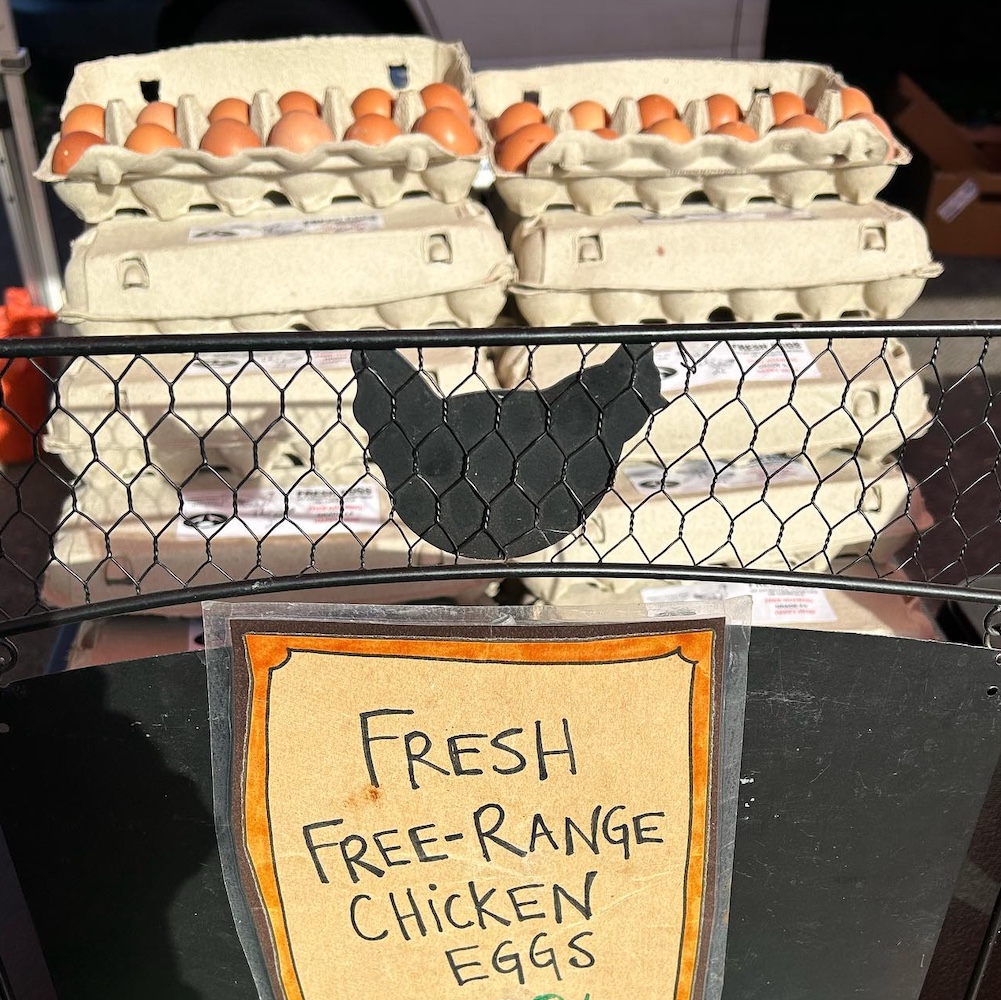 eggs at Quattro's Poultry & Game Farm in Pleasant Valley NY