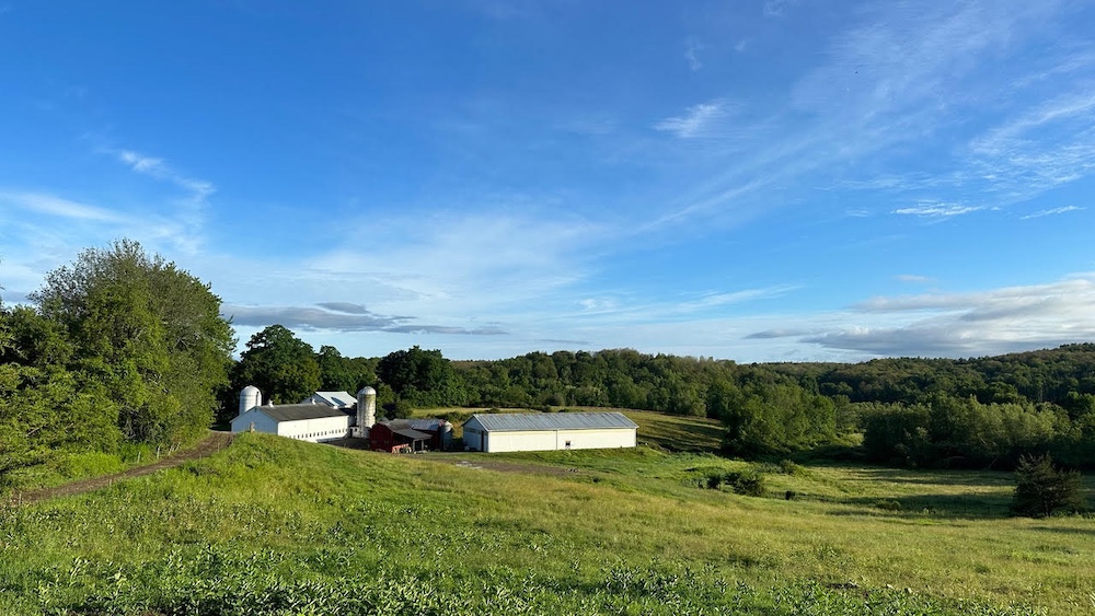 farm at Northaven Pastures in Red Hook NY