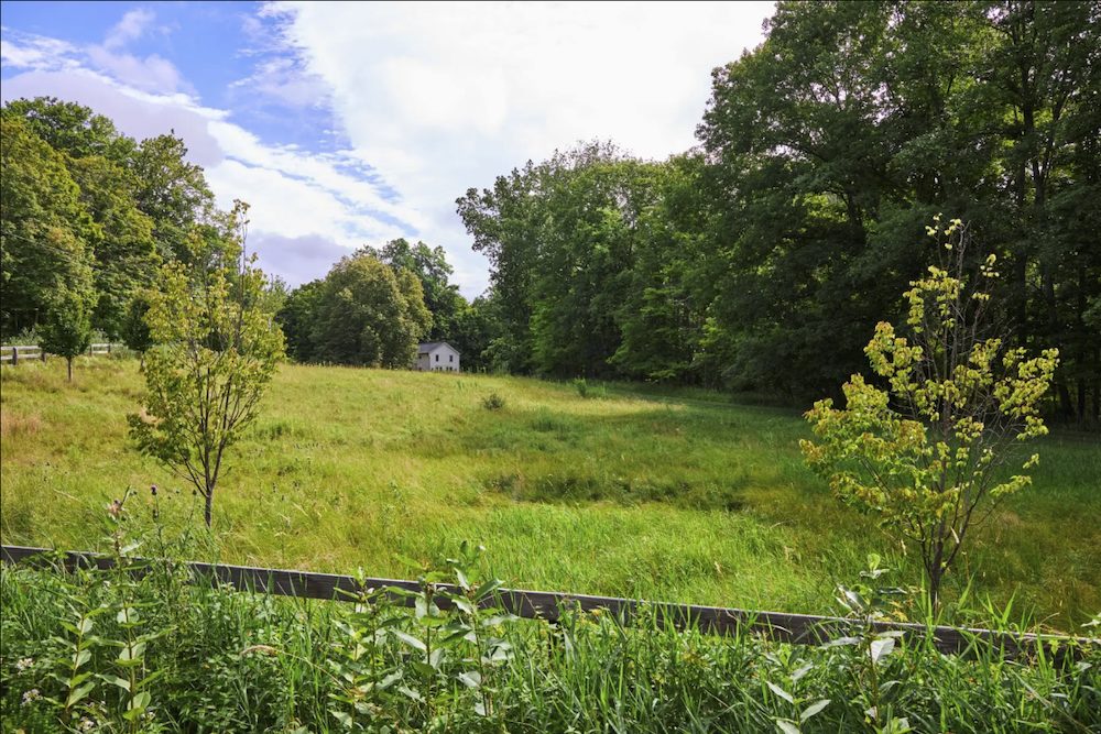 field at 660 County Route 7, Pine Plains NY