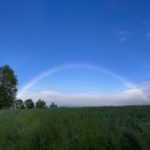 rainbow from Catskill Wagyu at Hilltop Farm in Accord NY