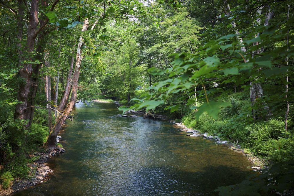 stream by 660 County Route 7, Pine Plains NY