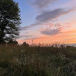 Rebecca Collins: Gimme the dirt...on Beauty