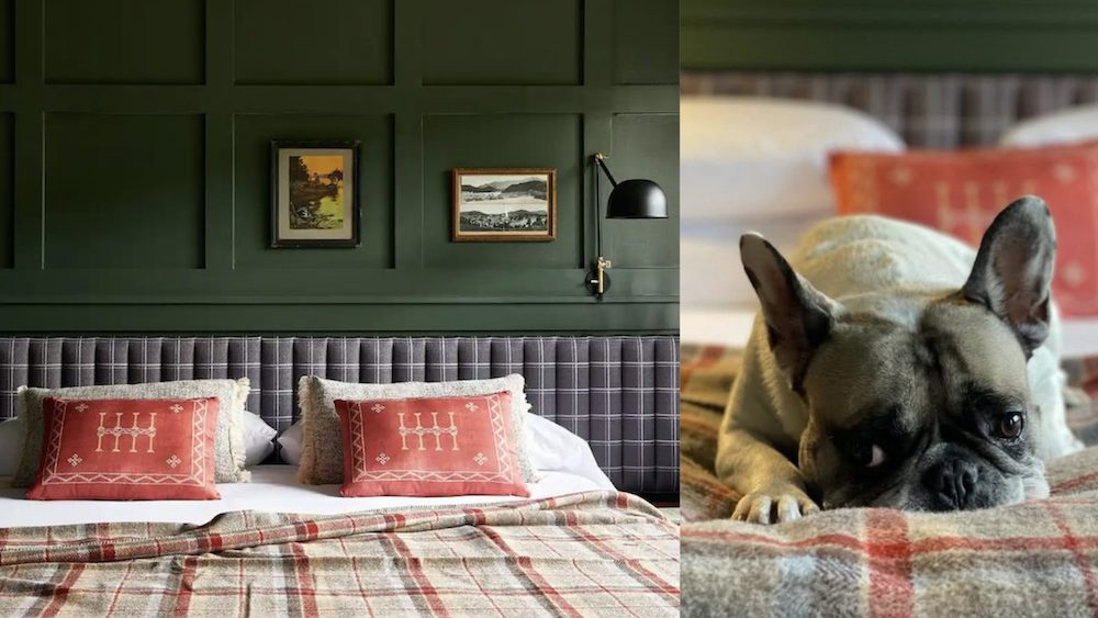 Dog Friendly hotel Hunter Lodge 