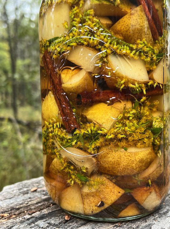 goldenrod, apple, spices brandy in a jar made from Goldenrod in a basket with silk scarf for the Sasha Botanica Infusing Autumn with Goldenrod workshop in high Falls NY