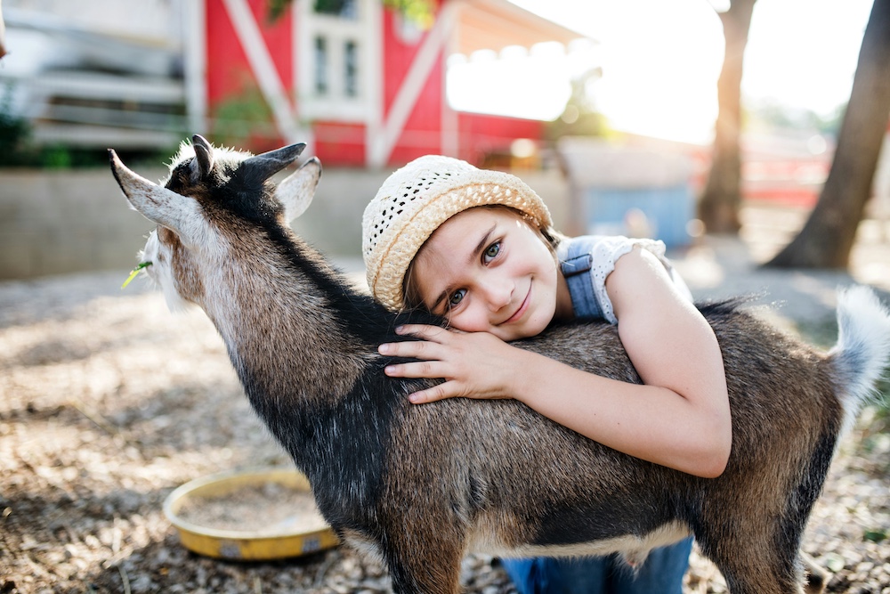 a young child hugging a goat