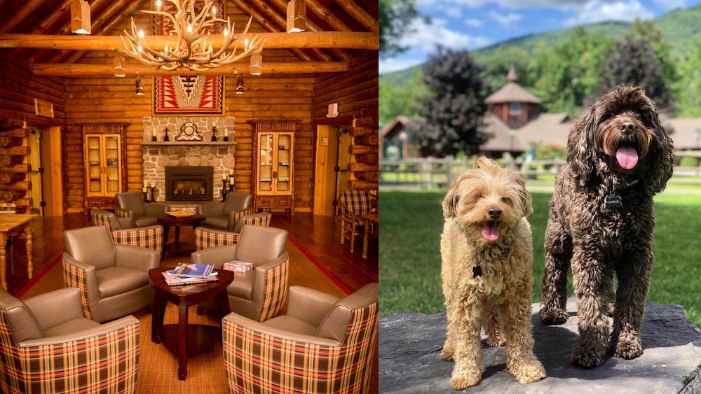 Dog Friendly hotel Emerson Resort and Spa