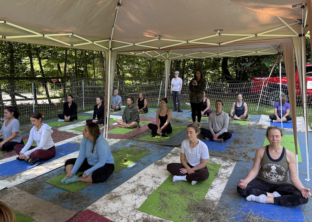 A goat yoga class in Woodstock NY with Victoria Ballentine