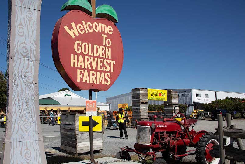 Golden Harvest Farms in Valatie NY
