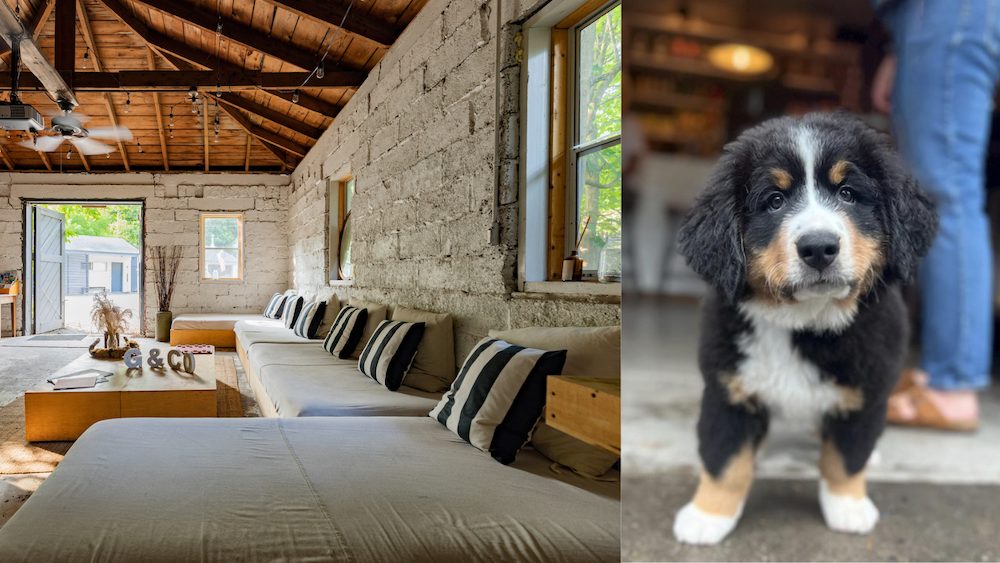 Dog Friendly hotel Graham and Co Phoencia NY