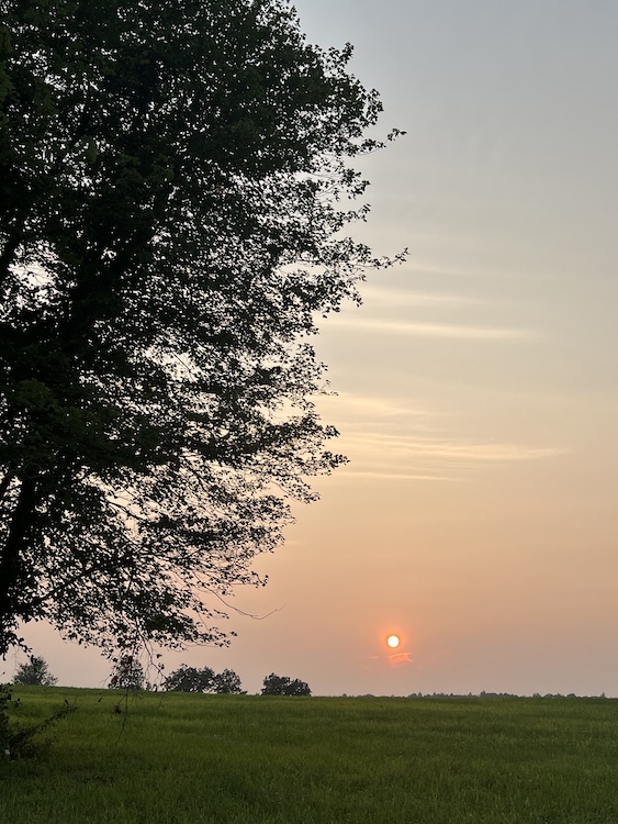 sun at the edge of the field horizon at Hilltop Farm in Accord NY