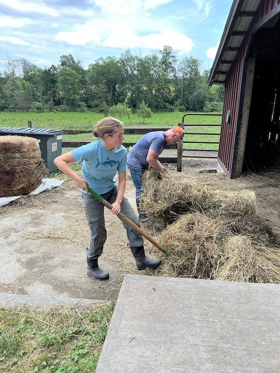 moving hay at Hilltop Farm in Accord NY