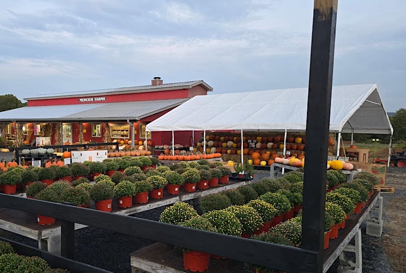 Mercier Farms in New Paltz NY