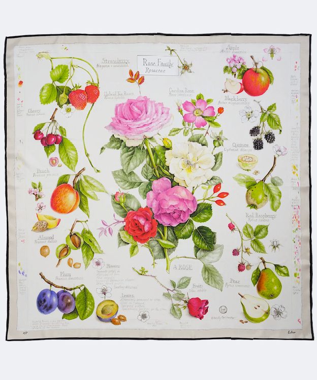 Wendy Hollander scarf prize at the Rondout Valley Growers Association's 18th Annual Harvest Hoedown in Stone Ridge NY