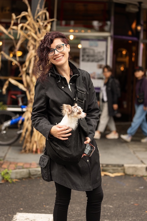 pocket pup at StockadeFaire 2025 in Uptown Kingston NY's Historic Stockade District