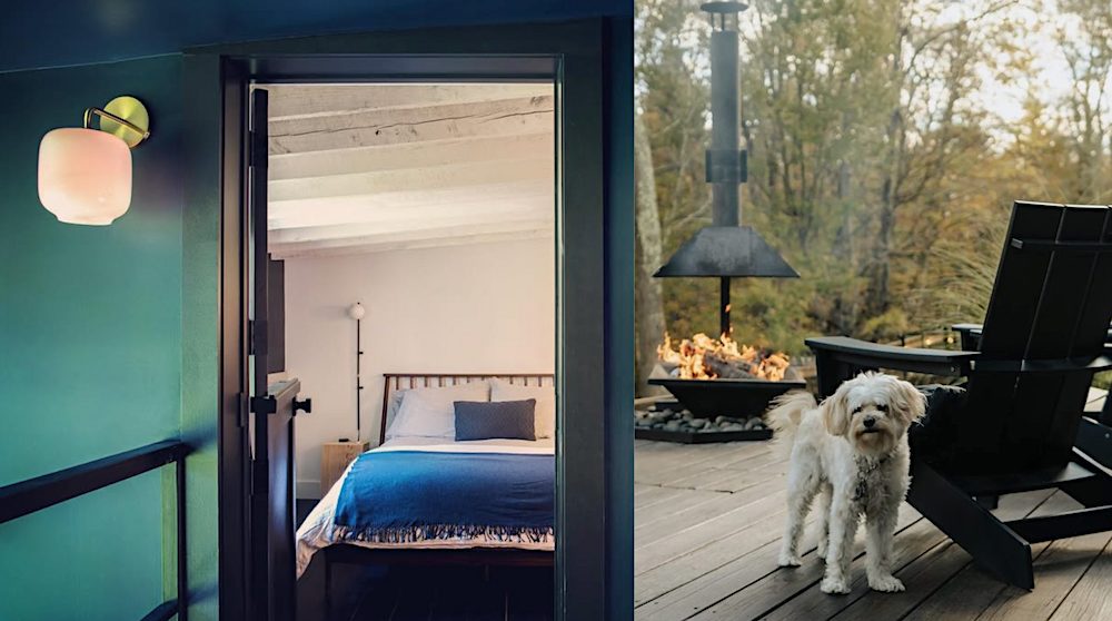 Dog Friendly hotel Rest Co 