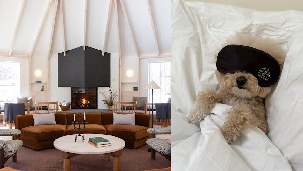 Dog Friendly hotel Scribners Lodge