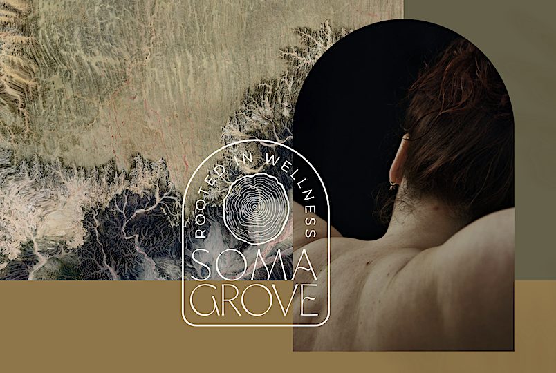 Sonoma Grove Cryotherapy, infared sauna and gym