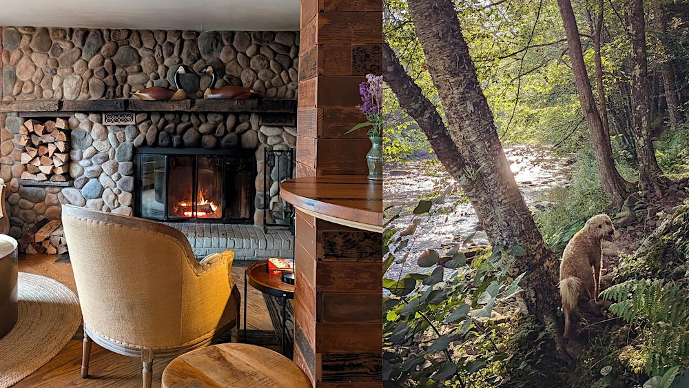 Dog Friendly hotel The Debruce