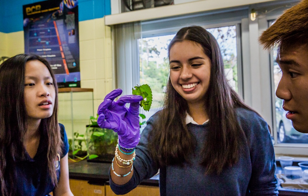 students in Biology class examining a leaf at The Storm King School in Cornwall-on-Hudson, NY