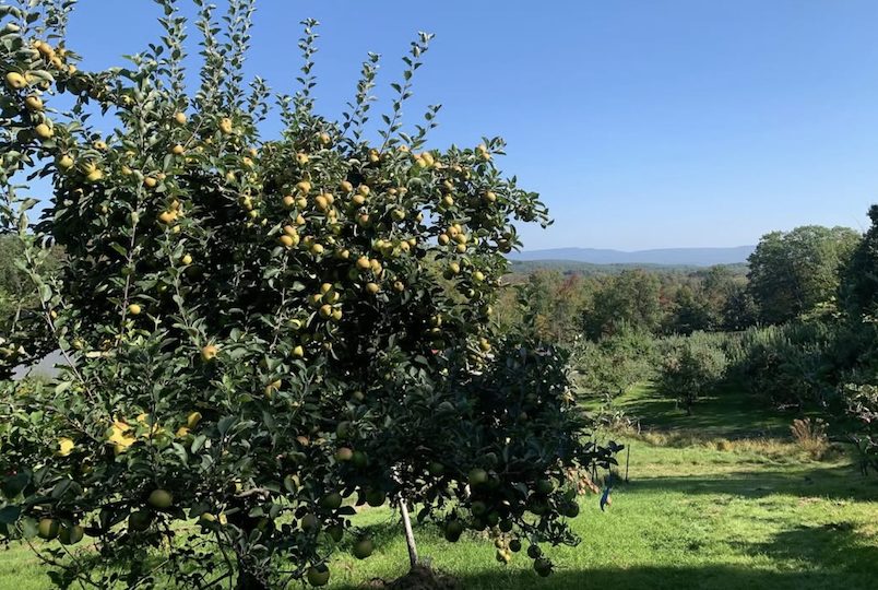 Wightman Fruit Farm in Kerhonkson NY
