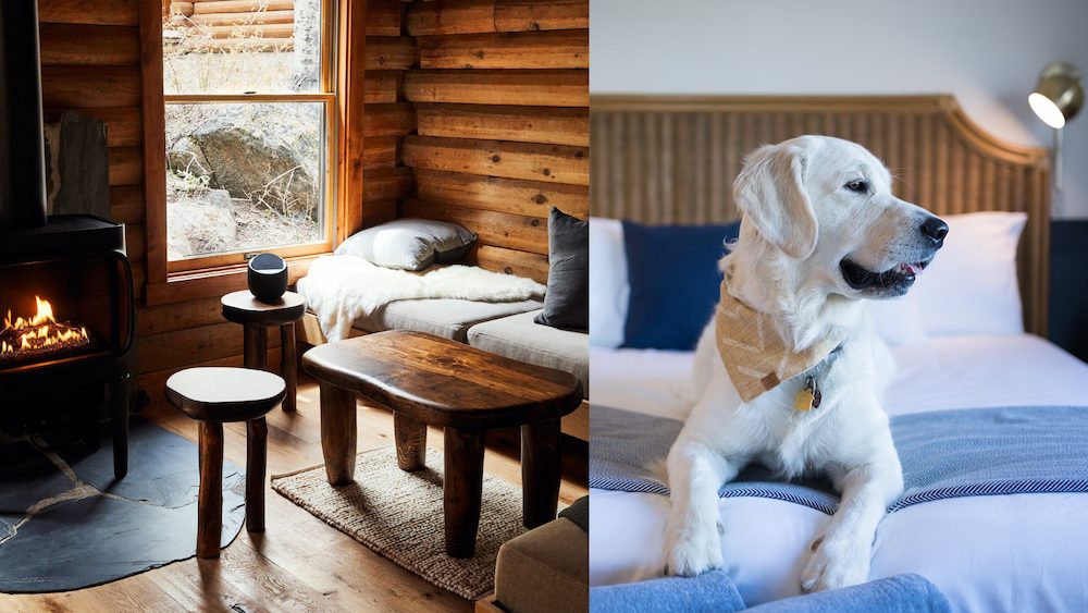 Dog Friendly hotel Wylder Hotel in Windham