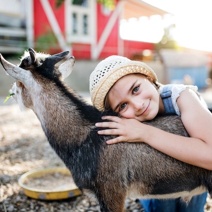 Child hugging a goat