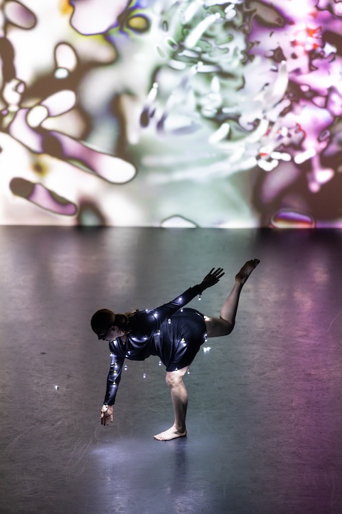 Light Meditation photo by Alice Chacon