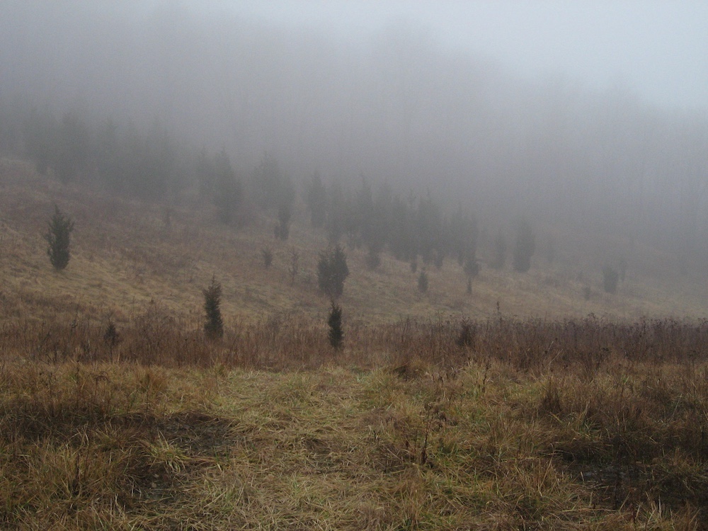 a foggy hill in Garrison NY