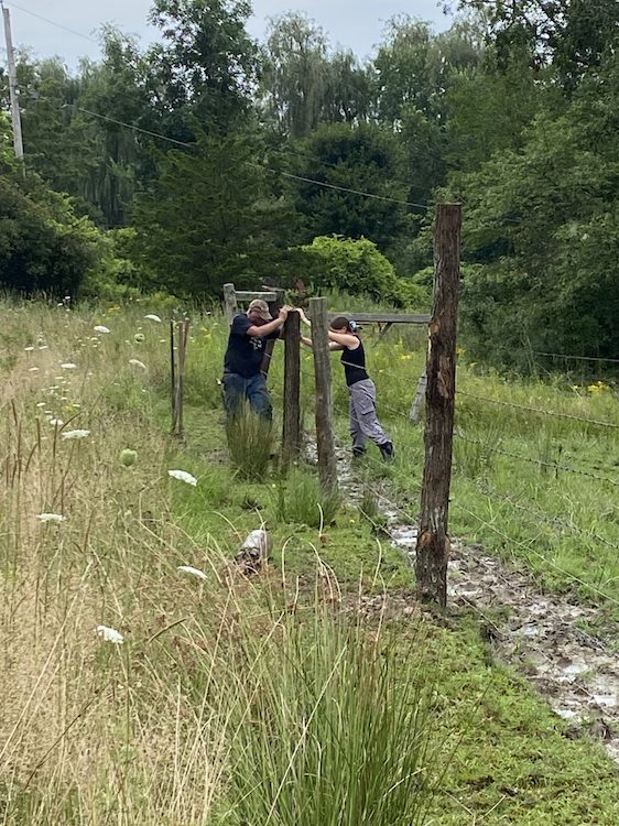 intern Viola and Farmer Barton fixing a fence at the Hilltop Farm in Accord NY