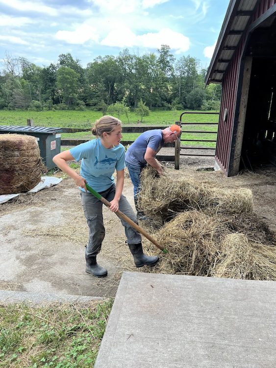 Intern Viola pitching hay at the Hilltop Farm in Accord NY