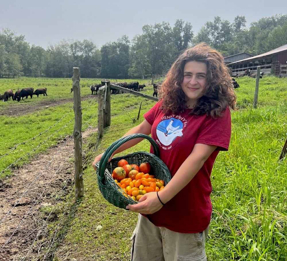 intern Ruby with basket of tomatoes at the Hilltop Farm in Accord NY