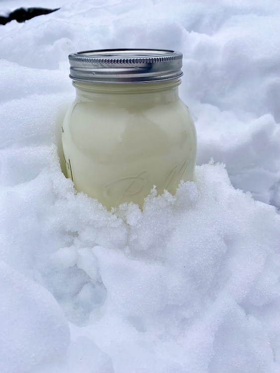 dairy in snow at Catskill Wagyu at Hilltop Farm in Accord NY