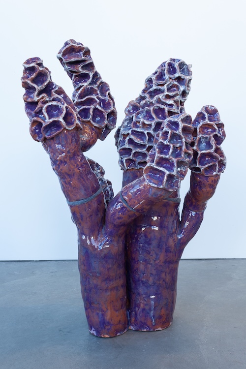 Morel Mushrooms by Artist Nicki Green